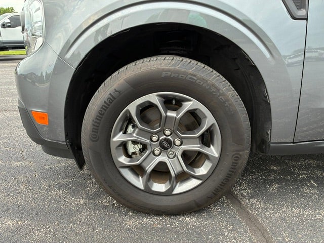 Photo 12