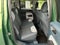 2025 Ford Maverick XLT All Wheel Drive